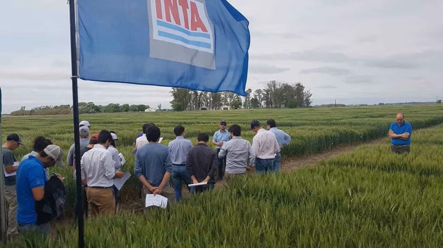 El INTA cierra 14 agencias en Córdoba y Buenos Aires y avanza en su reestructuración