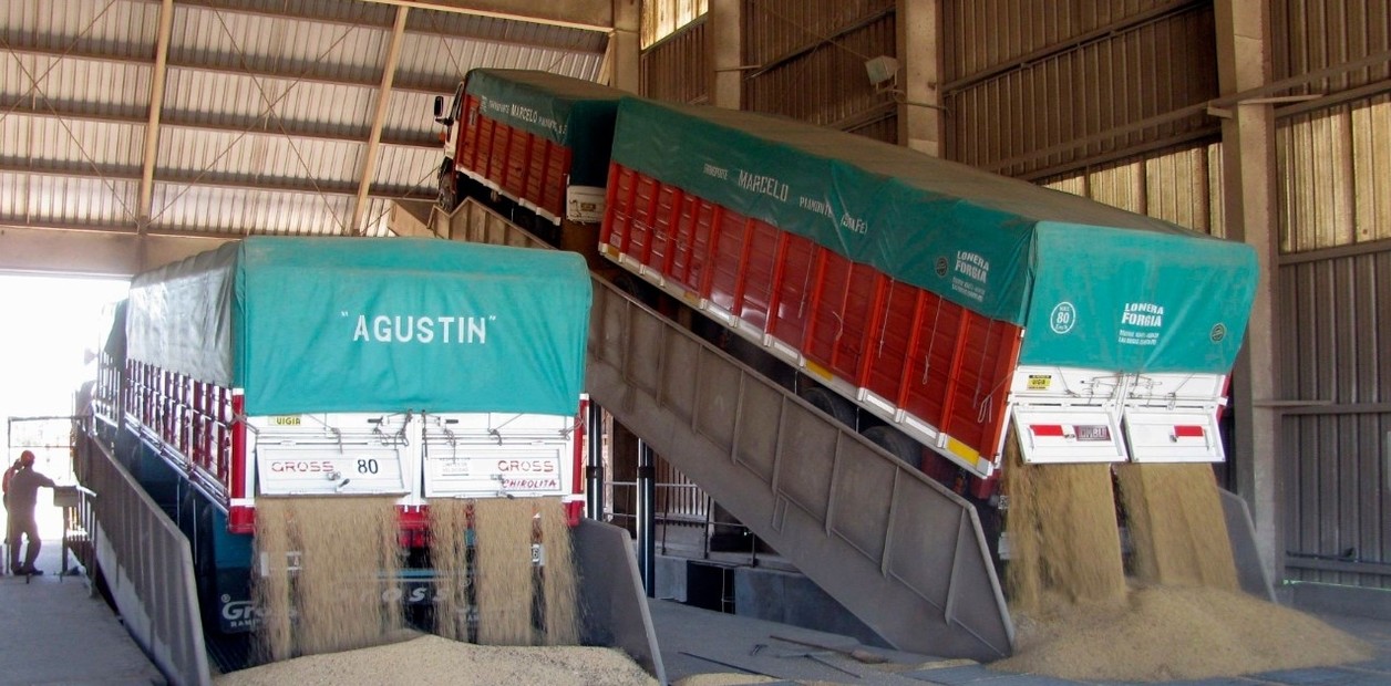 Las Bolsas de Cereales y de Comercio advierten por el impacto del conflicto en el transporte de granos