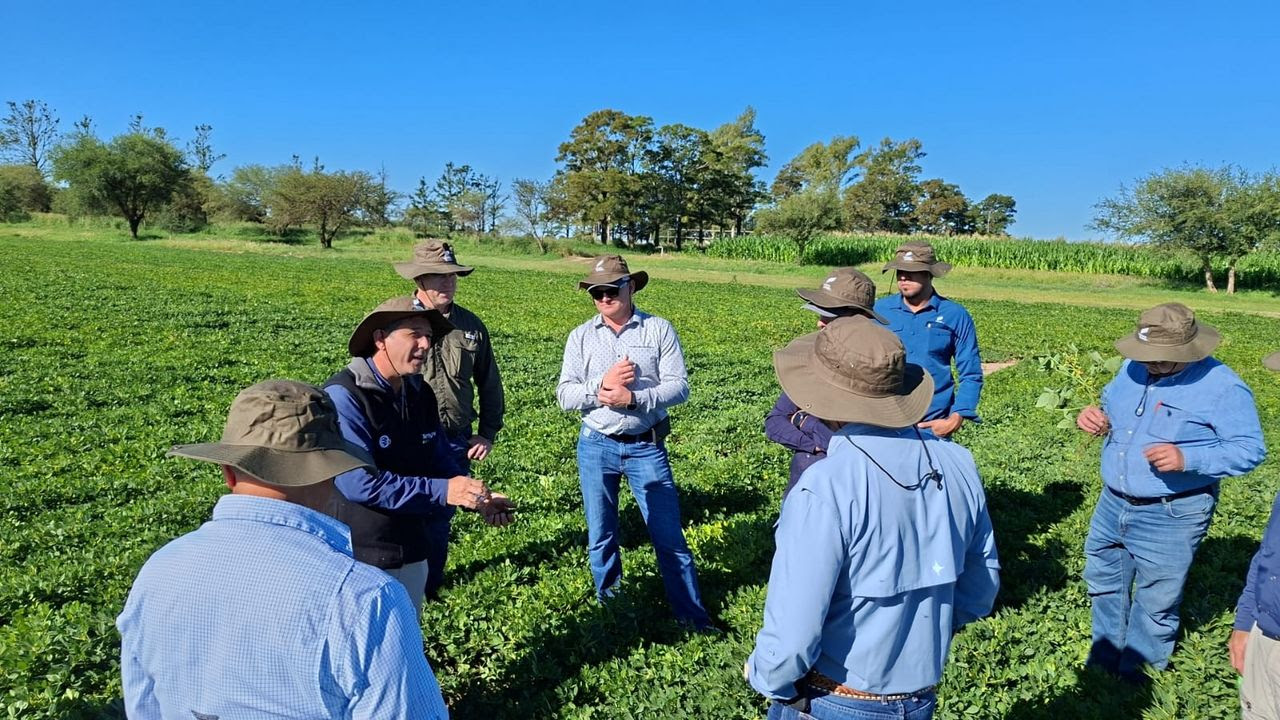 El secreto del éxito global del maní argentino con certificaciones de calidad