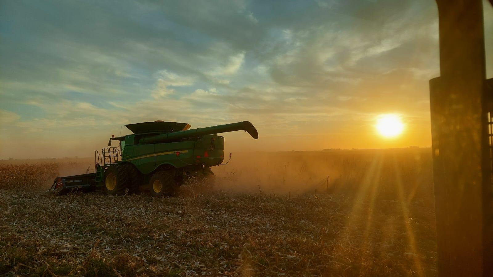La soja, entre buenos rindes y desafíos climáticos con un avance cercano al 50% de la cosecha