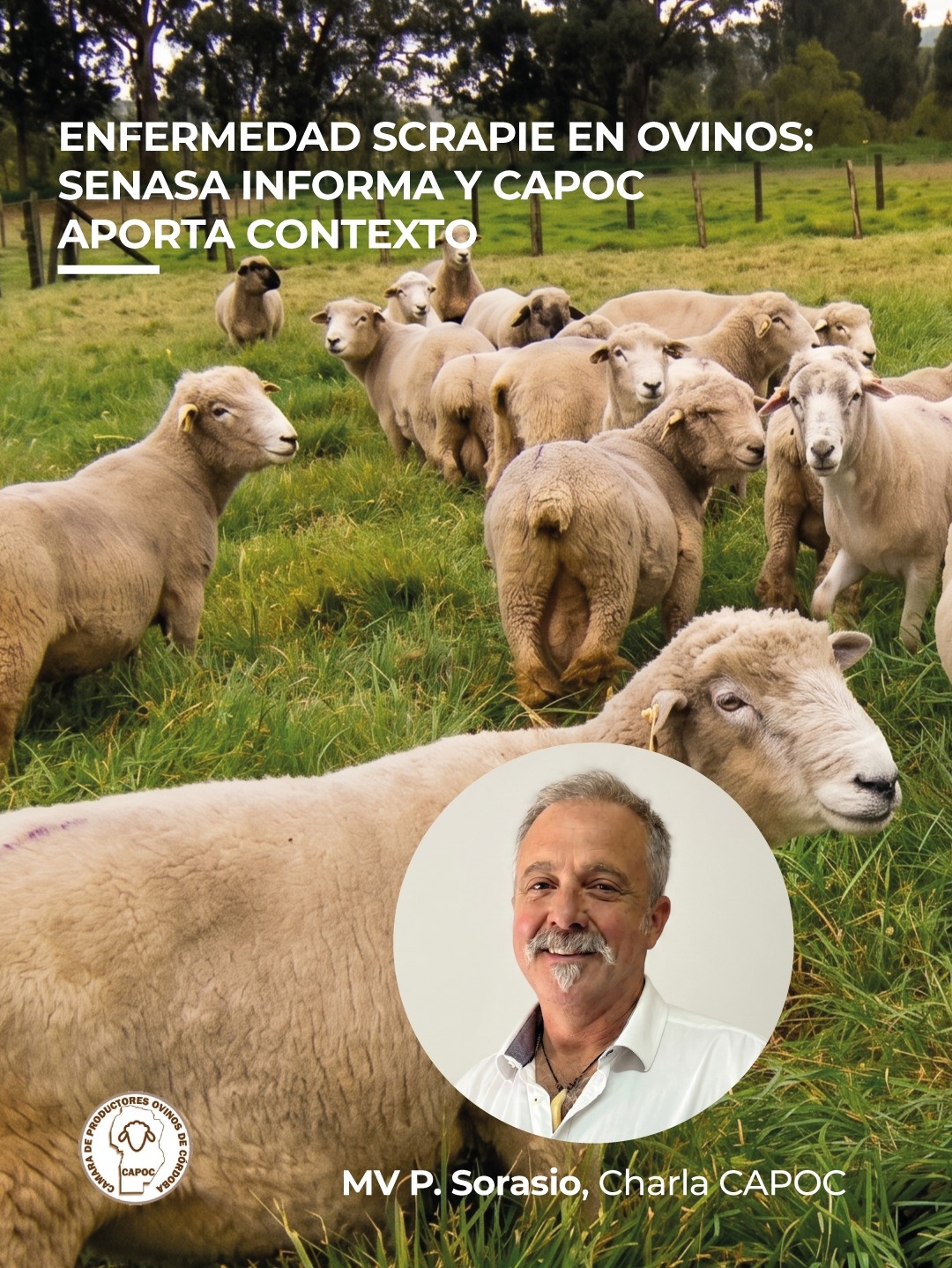 Pablo Sorasio advierte: “El scrapie no afecta a porcinos ni bovinos” tras la alarma en Córdoba