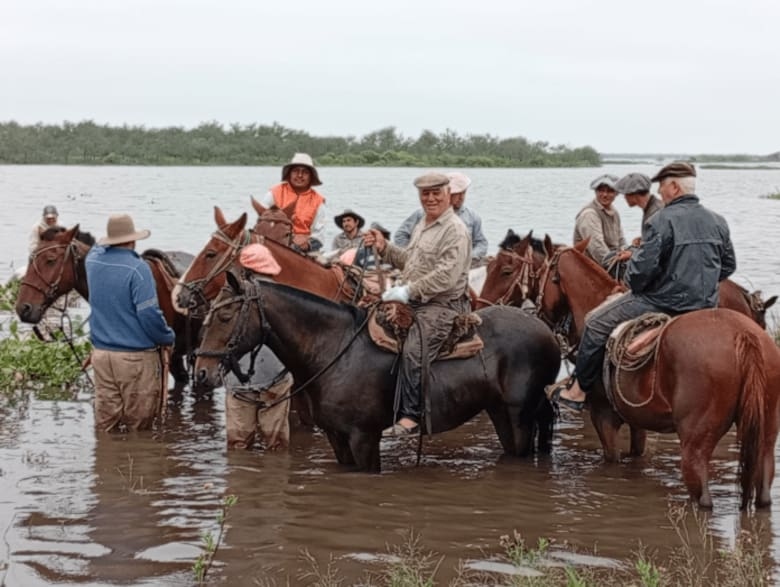 Más de 400.000 cabezas de ganado en emergencia por inundaciones en el norte de Santa Fe