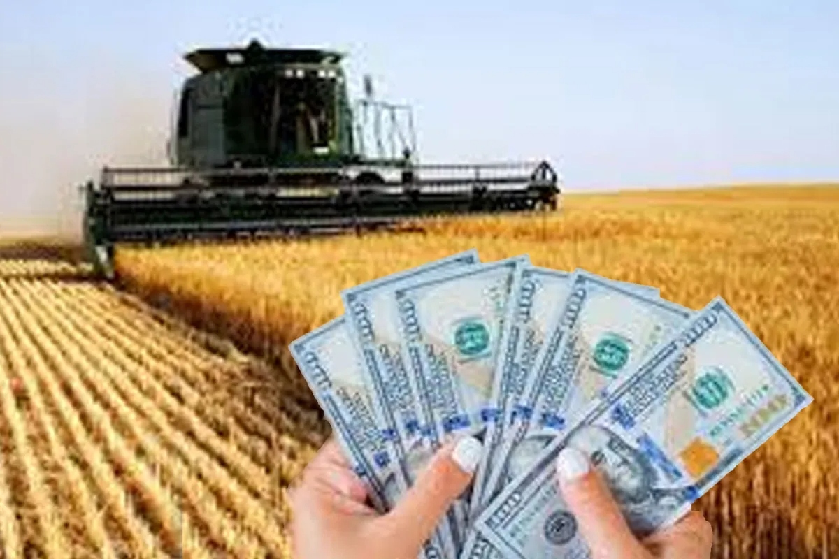 El agro argentino solicita la eliminación de retenciones ante el aumento de costos de producción de trigo