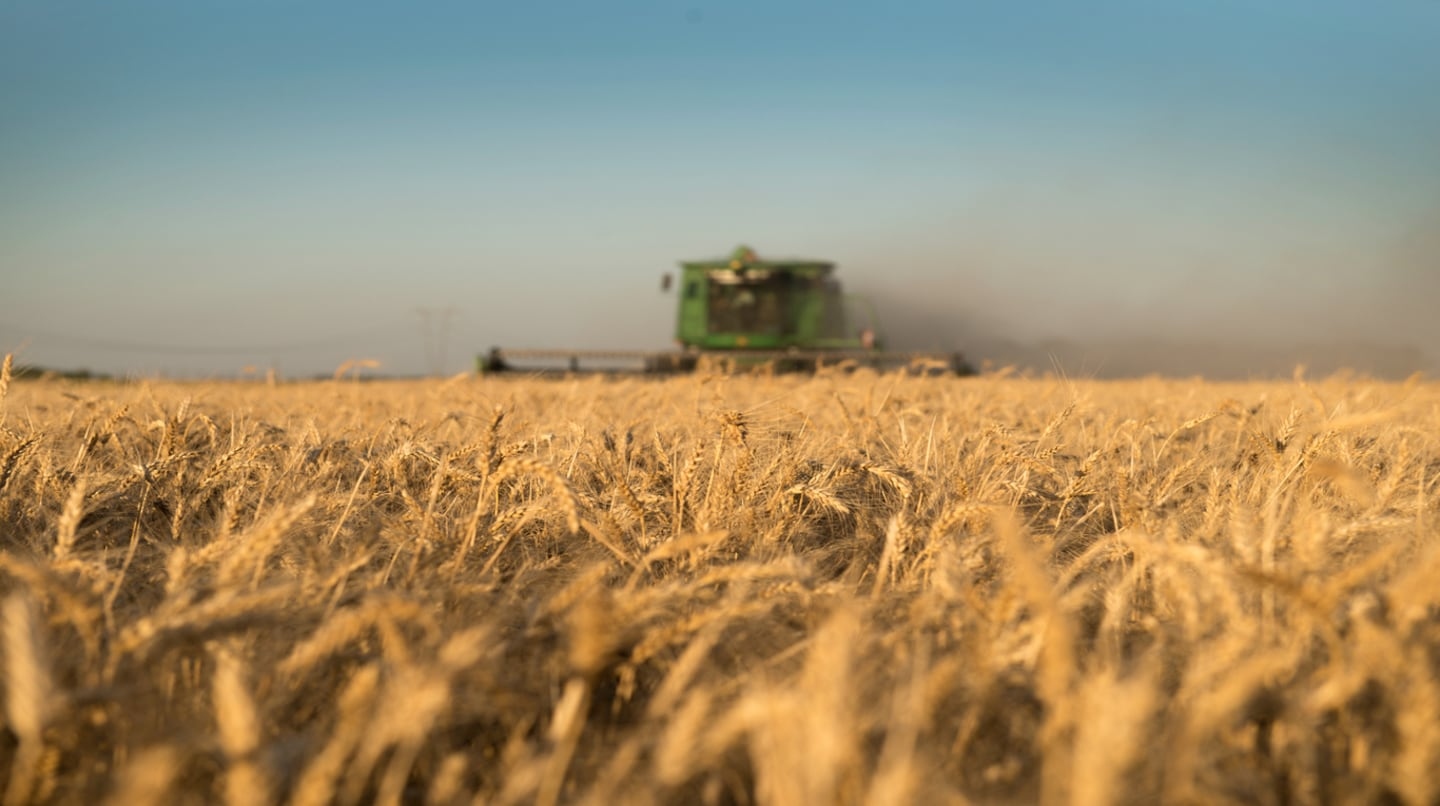 El financiamiento bancario agrícola alcanza cifras históricas