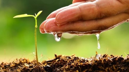 Capacidad de agua disponible en Córdoba: una herramienta clave para la agricultura