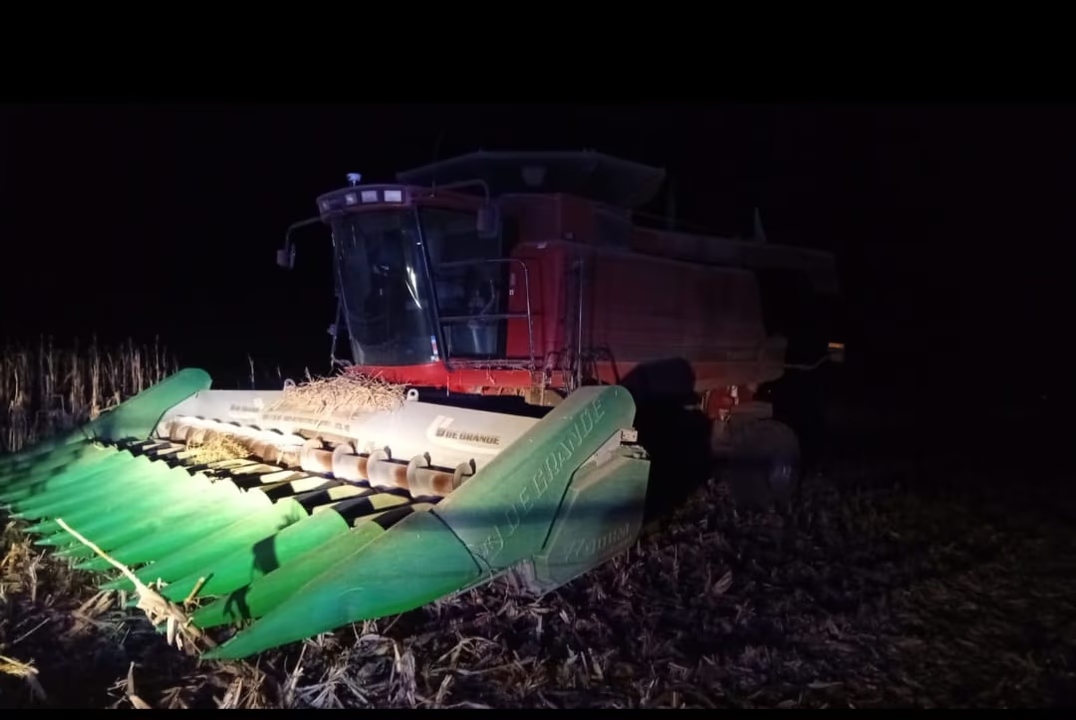 Tragedia rural en Alto Alegre: fallece un trabajador durante la cosecha