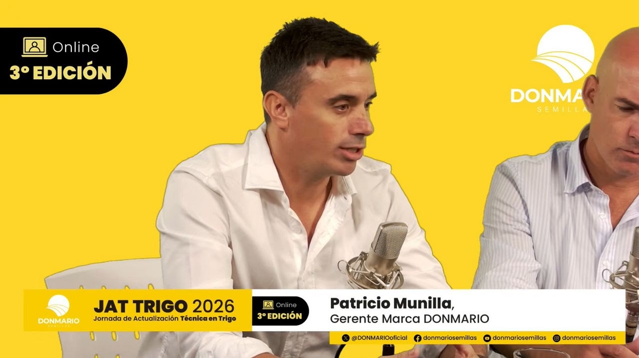 Sintonía fina y eficiencia: el camino del trigo para maximizar rindes en una campaña de altos costos