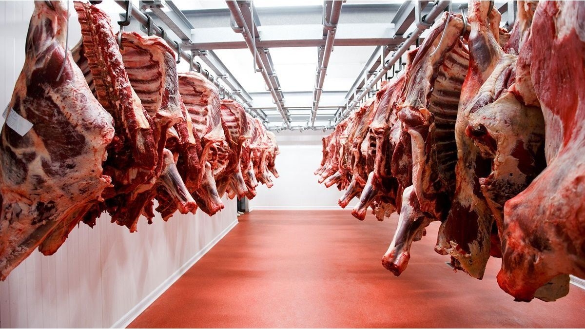 Nubarrones en el comercio de carne Argentina: cambios en las potencias globales