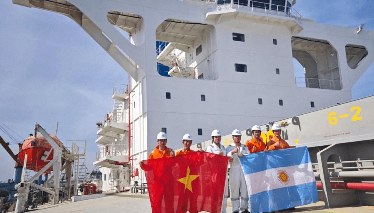 El maíz argentino se abre paso firme en China con 310,000 Toneladas exportadas