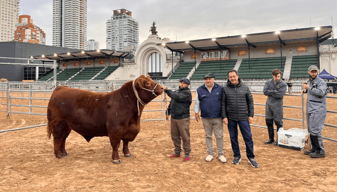 “Paulino” abrió la pista y los Angus ya viven su fiesta de otoño en Palermo