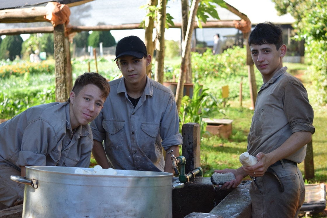 Del mejor aceite de Argentina a vinos elaborados por estudiantes: la propuesta de Don Bosco para Caminos y Sabores 2026