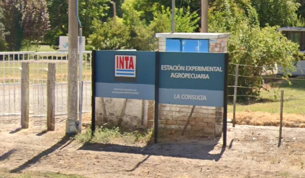 Crisis en el INTA: “Las capacidades pueden perderse en pocos meses, reconstruirlas puede llevar décadas”