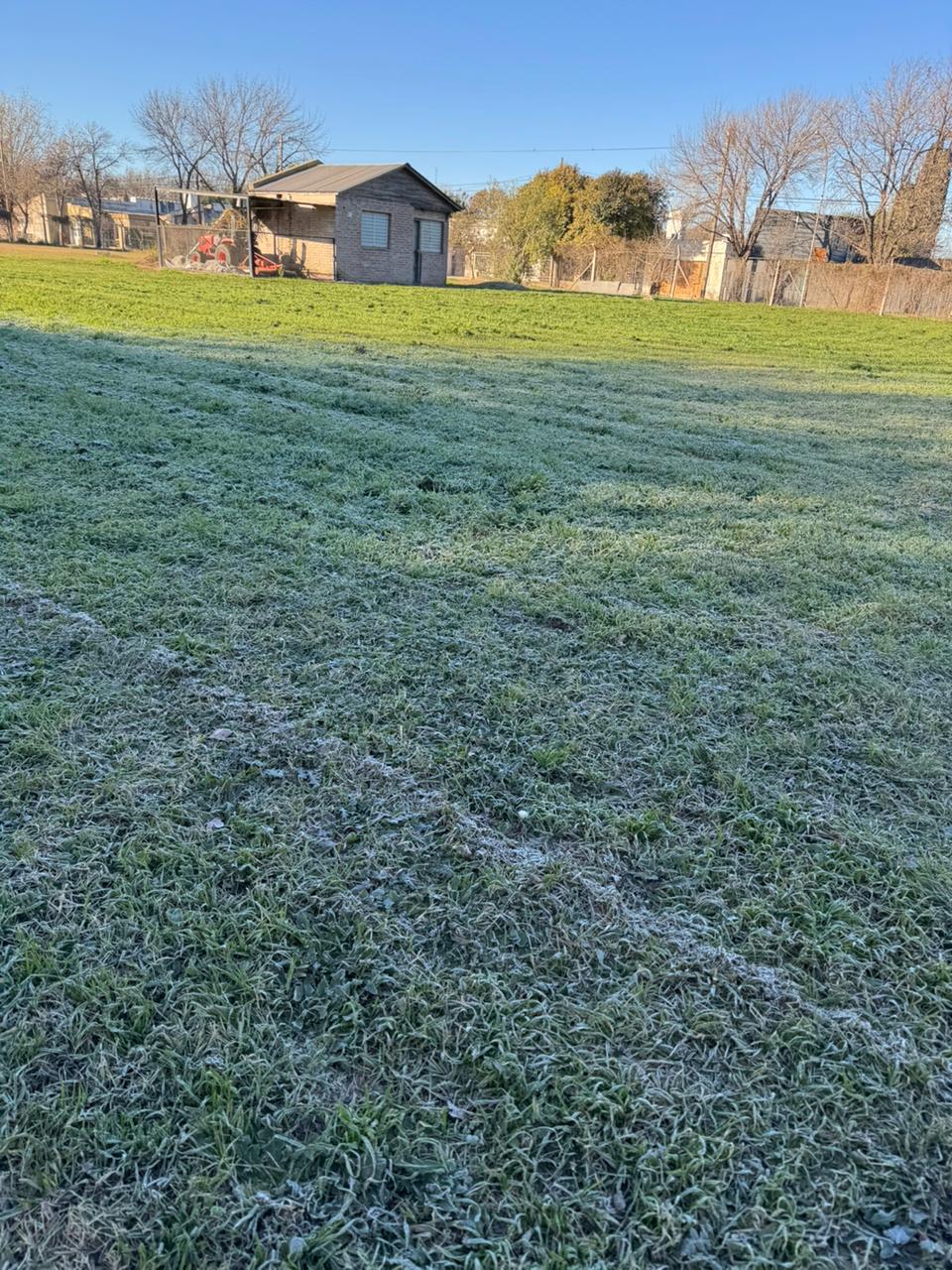 El frío extremo golpea Córdoba: Bell Ville lidera el ranking de temperaturas bajo cero con -8,6 grados