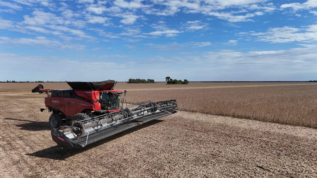 La primera cosechadora Axial-Flow Serie AF10 Automation comercializada en Argentina ya trabaja en el campo