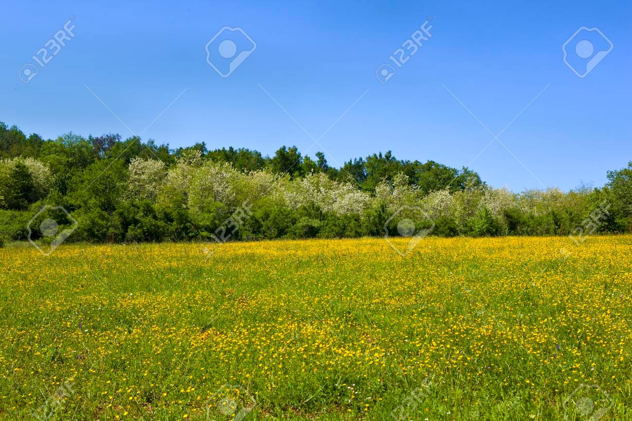 Mientras el campo local sufre, Francia anuncia un plan millonario para salvar a sus productores.