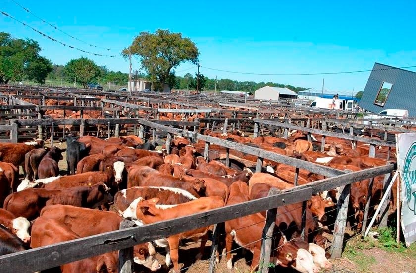 INTA Corrientes lanza 