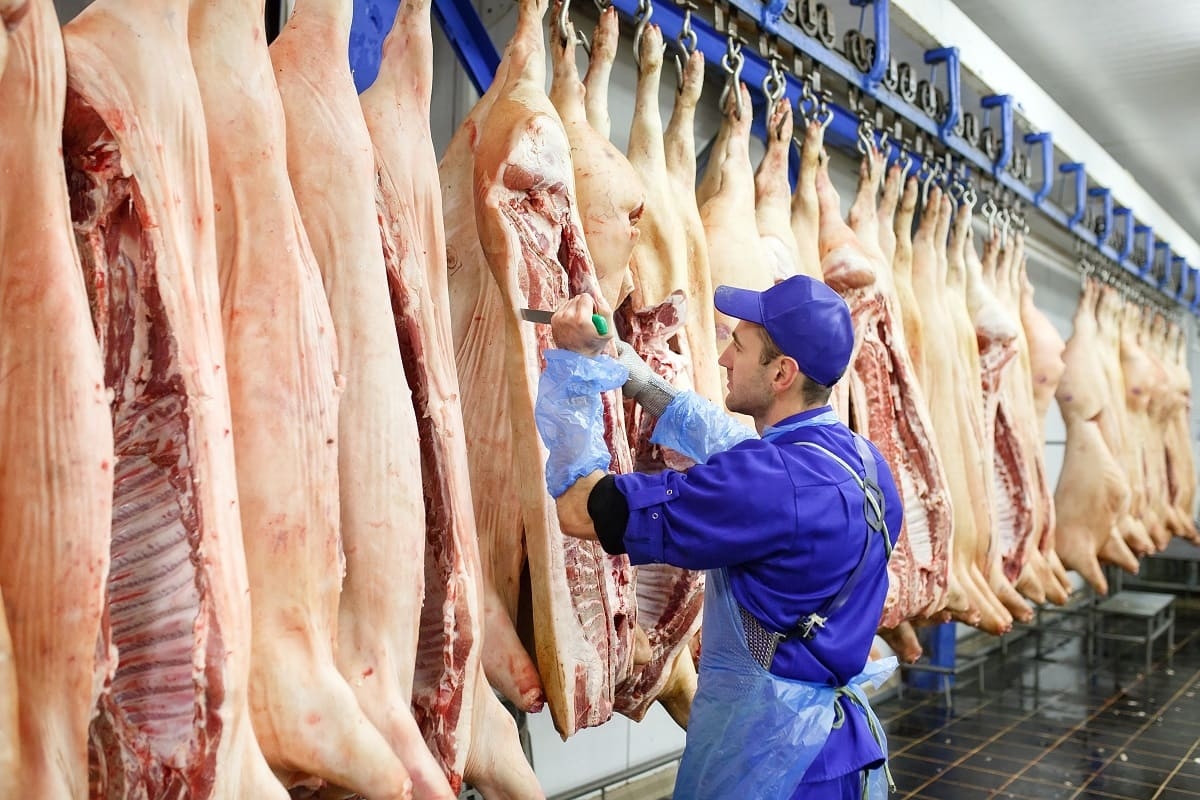 La industria frigorífica, contra las cuerdas: baja la faena, suben los costos y crece el reclamo por eliminar las retenciones