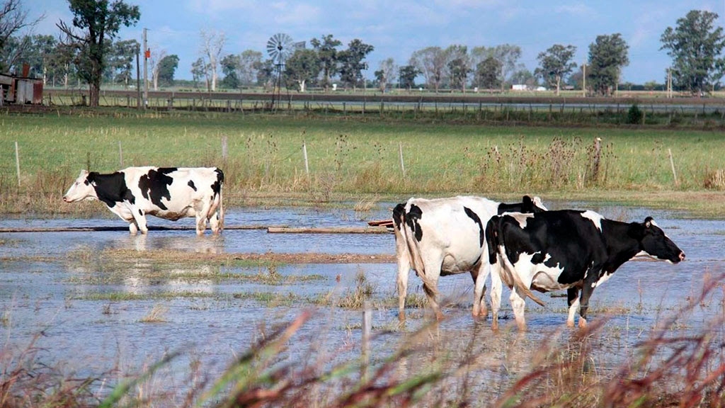 “Super Niño” en puerta: Las decisiones que el campo deberá tomar antes de que llegue el verano