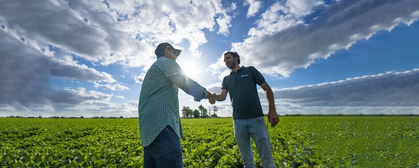 Ya son más de 6300 los productores que se financian de manera digital: el mapa del financiamiento del campo, que invierte más de US$ 30.000 millones todos los años