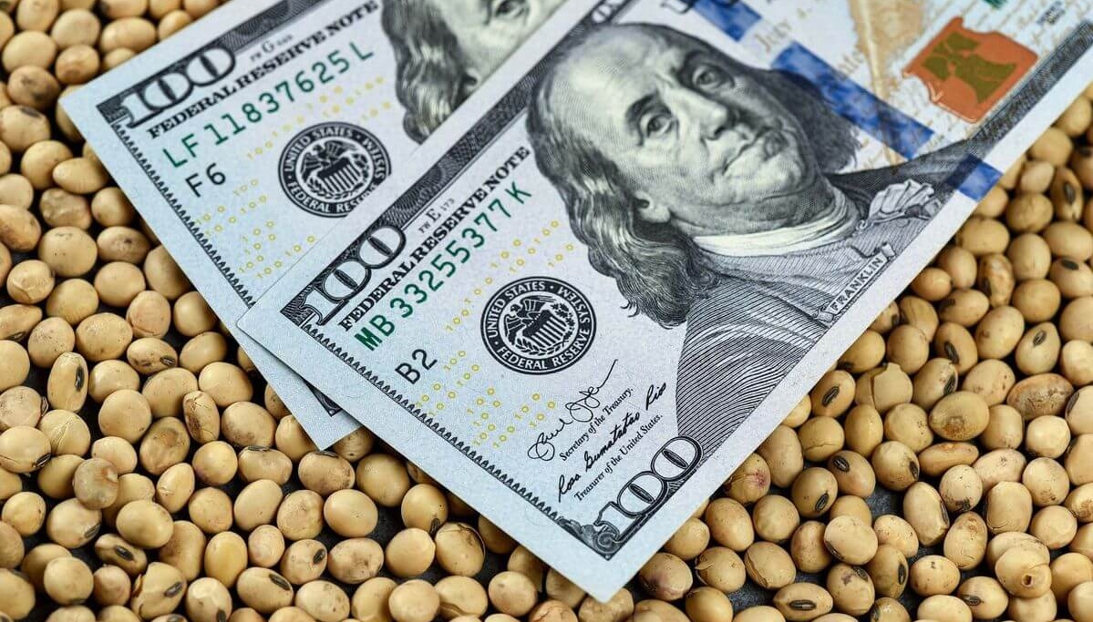El agro aportará u$s 6.600 millones al Estado, la mitad que en 2022