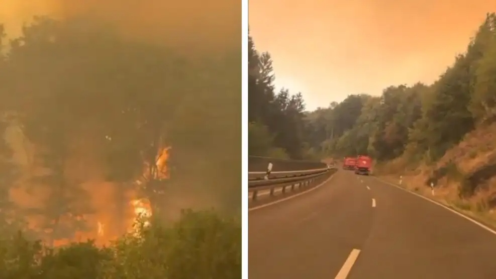 Récord de incendios en Europa: cientos de evacuados y dos muertos en Grecia