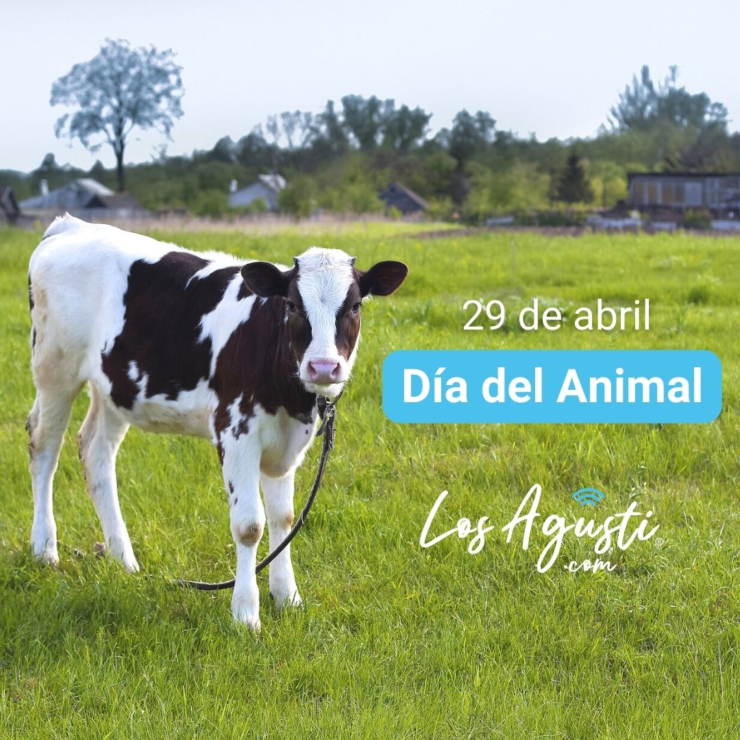 Día del Animal: por qué se celebra hoy en nuestro país