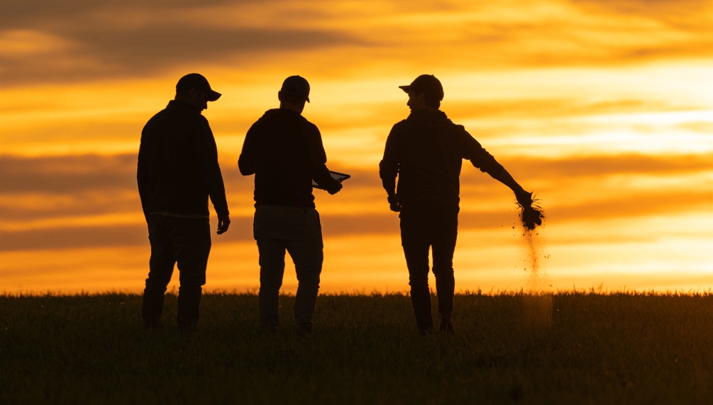 Confianza en el futuro: las expectativas de inversión aumentan en el agro
