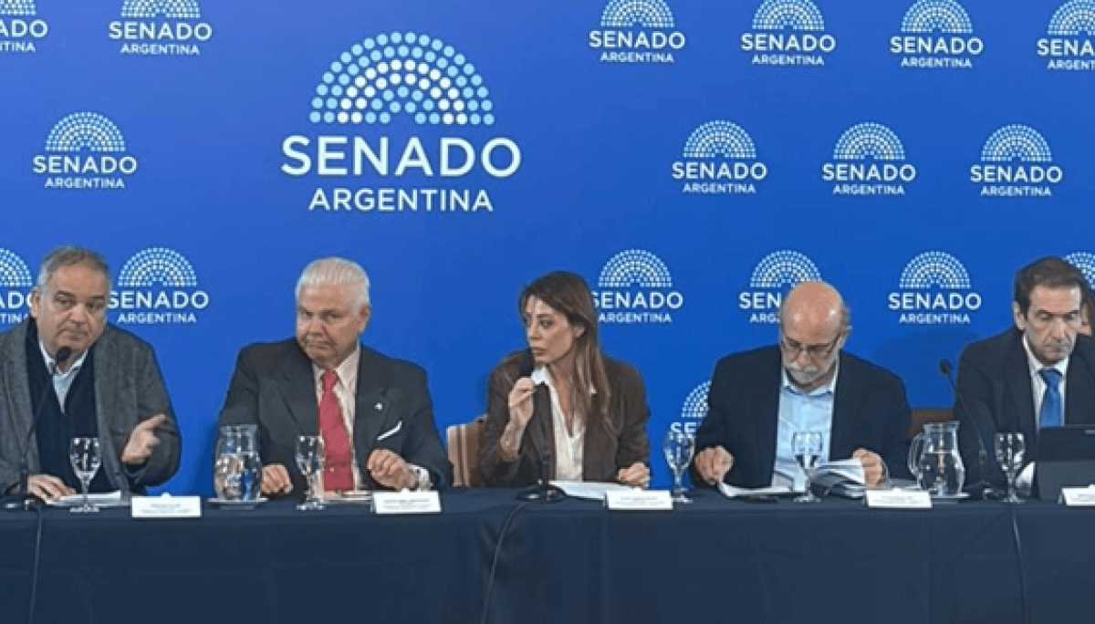 El Senado dictaminó la ley de biocombustibles y las pymes de la región alertan por las aceiteras