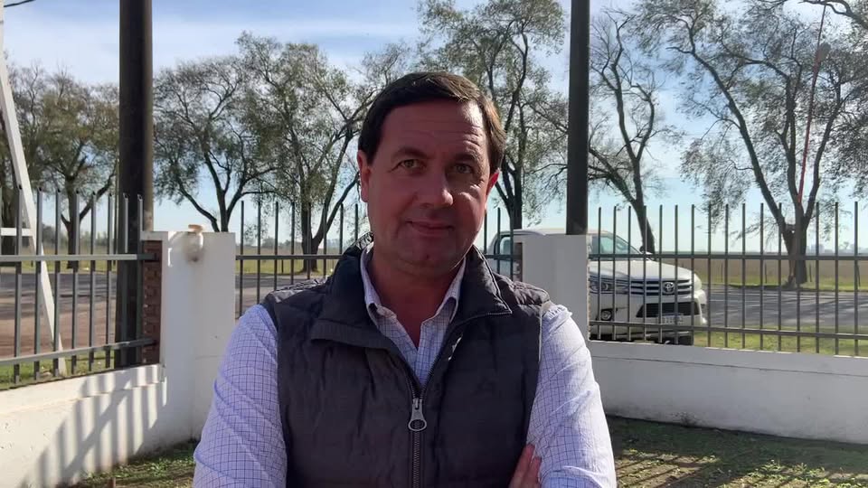 Del Vecchio: los cultivos atraviesan una etapa determinante de su desarrollo, con los ciclos intermedios largos ingresando en encañazón