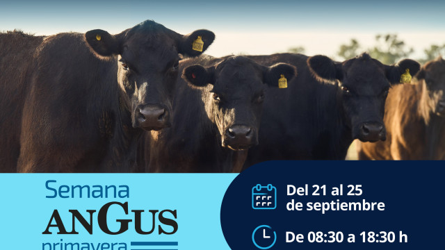 Biogénesis Bagó llega a Angus con foco en sanidad, bienestar y tecnología para el productor
