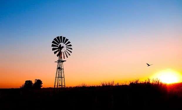 Trigo en etapa crítica y maíz atrasado por sequía en la región núcleo