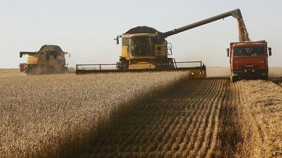 BCR: la liquidación del campo superará los US$ 40.000 millones durante 2027