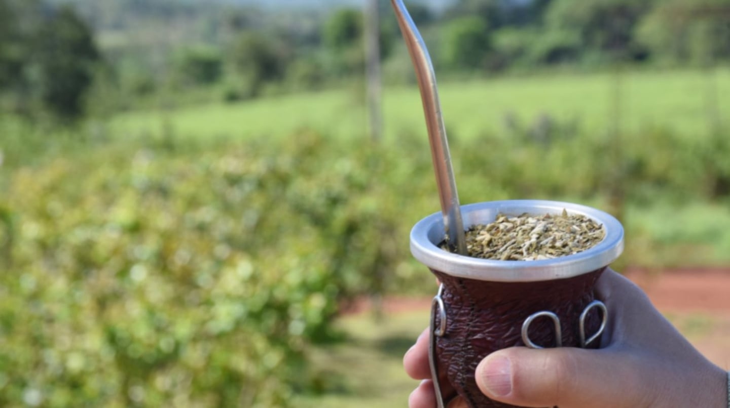 Yerba mate: el consumo interno volvió a crecer en 2026