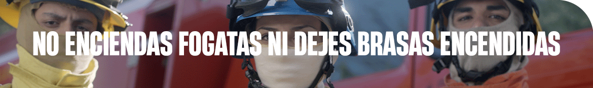 GOB CBA FUEGO