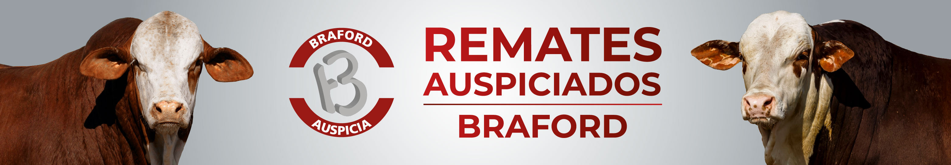 BRAFORD