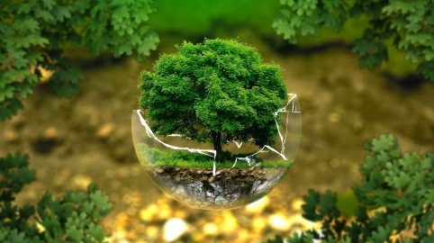 5 de junio: Dia mundial del Medio Ambiente