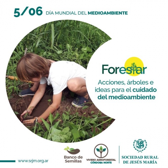 5 de junio: Dia mundial del Medio Ambiente