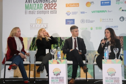 El PBI del maíz creció 145% en los últimos 6 años, superó los $ 20.000 millones y genera 230.000 puestos de trabajo
