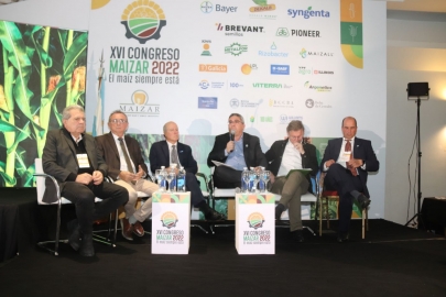 ¿Qué hacen las cuatro provincias que producen el 80% del maíz argentino para estimular la bioeconomía?
