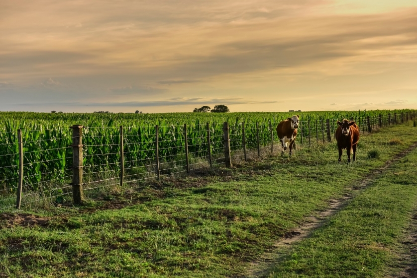 Galicia lleva las mejores soluciones financieras y digitales a la Rural de Palermo