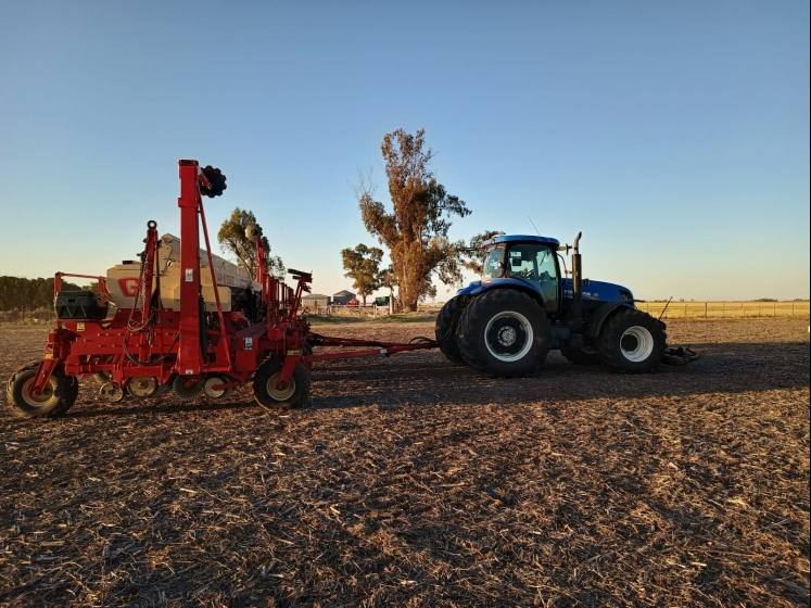 Zona núcleo: comenzó la siembra de maíz tras las lluvias 