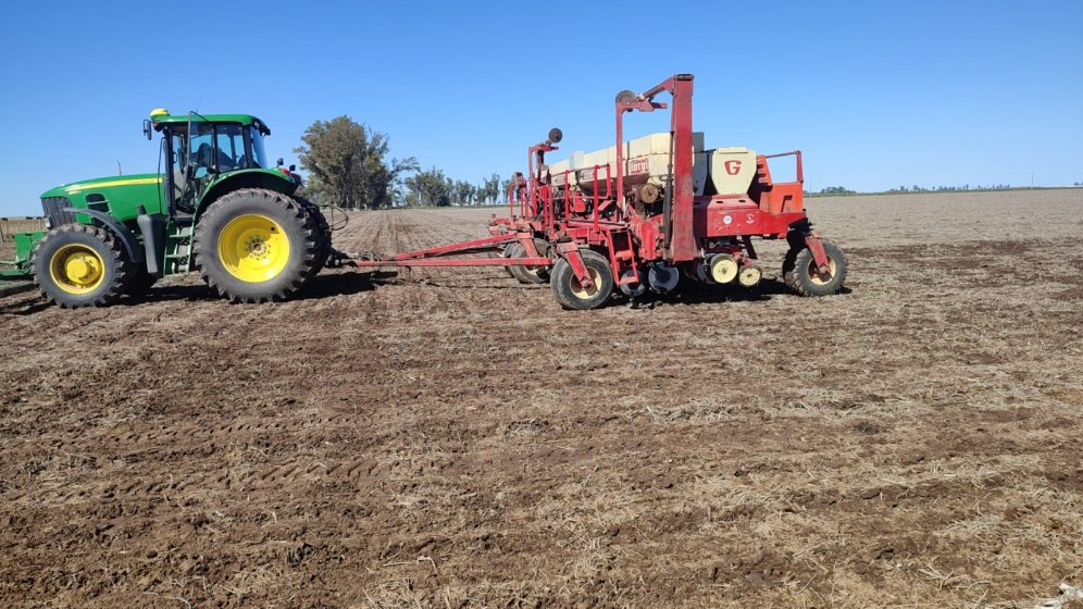 Zona núcleo: comenzó la siembra de maíz tras las lluvias 