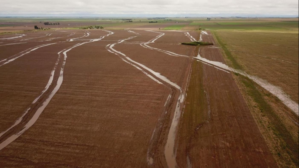 Alertan sobre la obligatoriedad del visado profesional para los planes prediales