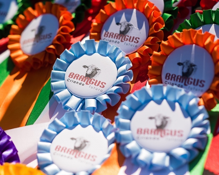 Hasta el 29 de octubre: la Exposición Nacional de Razas abrió la tranquera en la Rural de Corrientes
