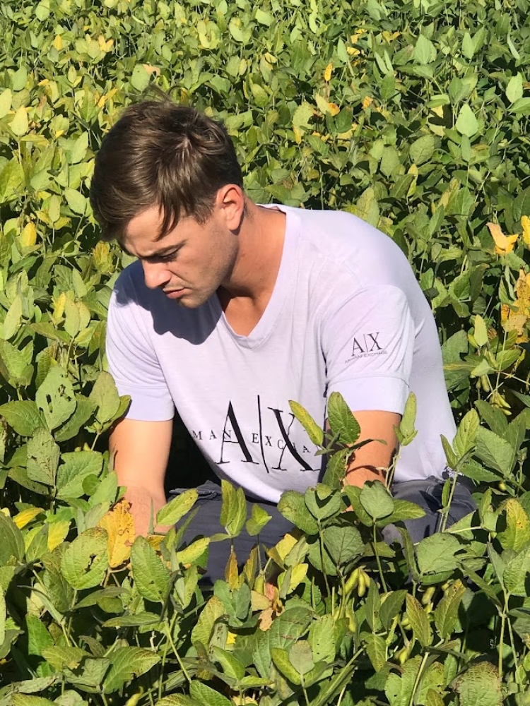 UPL: Cómo controlar malezas difíciles en soja