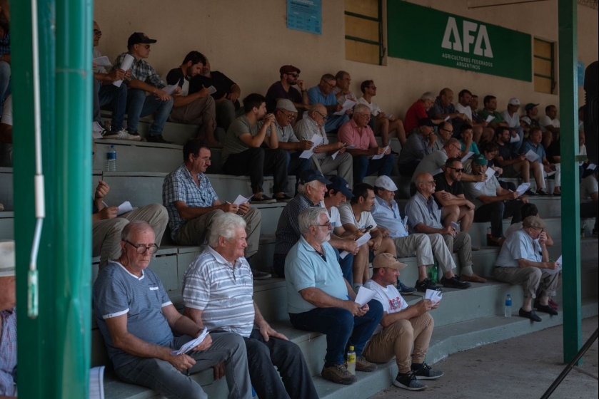 AFAactiva pisó fuerte en Marcos Juárez con más de 2700 cabezas de ganado de excelente calidad