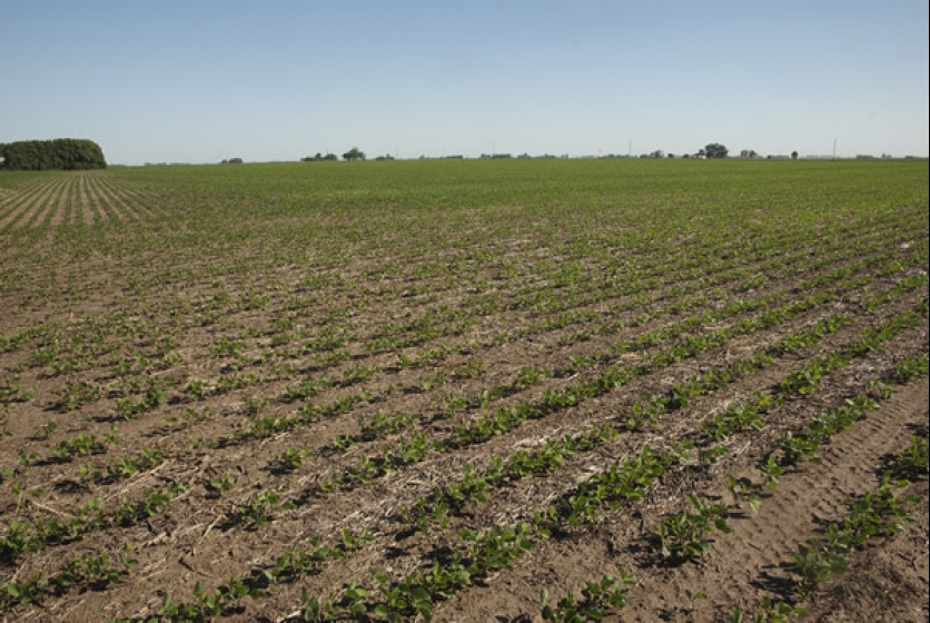 Bajo el lema “Al gran suelo argentino, ¡Salud!”, el Simposio FERTILIDAD 2023 se realizará presencial, 10 y 11 de mayo en el  Metropolitano de Rosario