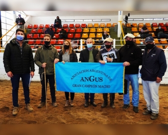 Elección de los Grandes campeones en la 74 Expo Rural de Jesús María