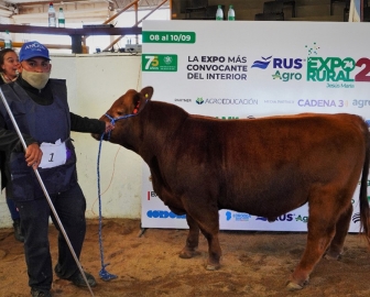 Elección de los Grandes campeones en la 74 Expo Rural de Jesús María