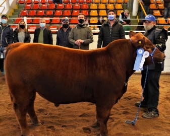 Elección de los Grandes campeones en la 74 Expo Rural de Jesús María